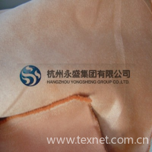 绍兴县言信纺织品有限公司-特种麂皮（非海岛丝）